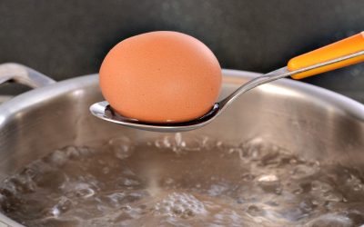 Boiling An Egg – Art or Science?