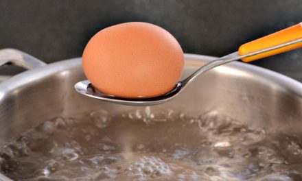 Boiling An Egg – Art or Science?